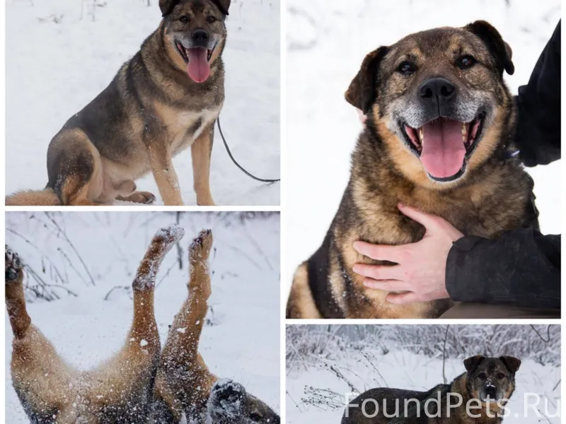 Мишаня искал доброту — и нашел...