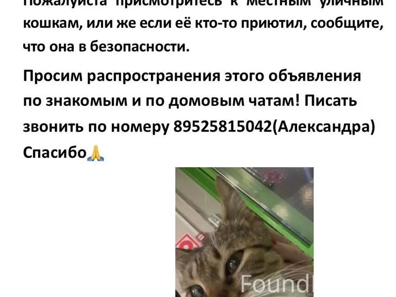 Дорогие друзья ❗️

В вашем районе...