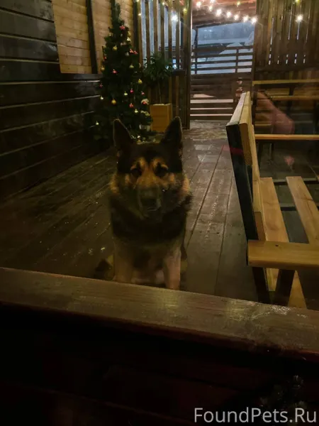 Помогаю информационно. В Нахаб...