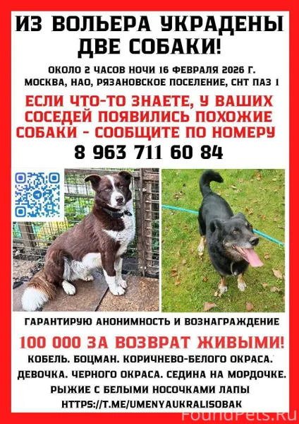 Поиск продолжается ‼Похищены с...