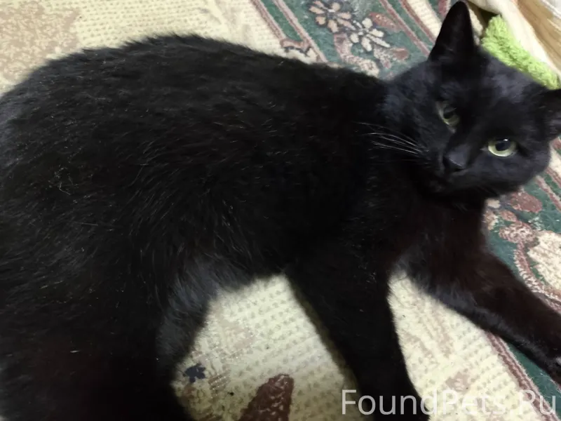 Вчера, в конце ул. Менделеева ...