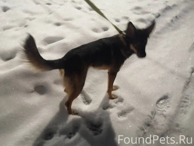 Санкт-Петербург, Купчино #Найд...