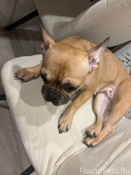 МЕХЗАВОД вчера вечером убежала...