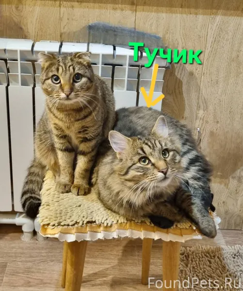 Район с.Петровское - д.Рязанов...