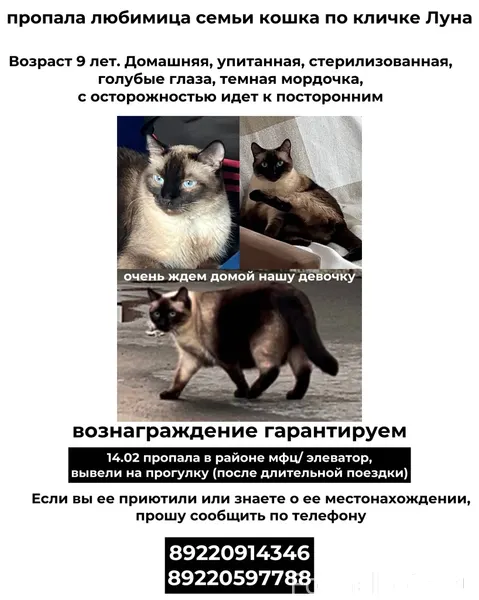 ЗАВОДОУКОВСК. 14 февраля, в ра...