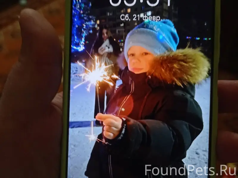 Утром муж гулял с собакой и...