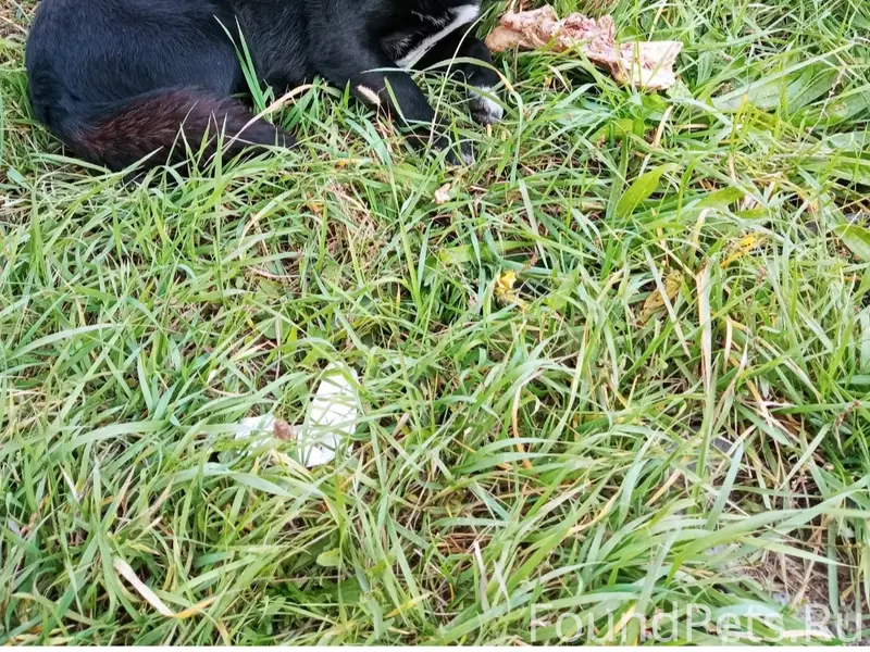 Четыре дня назад со стоянки продажи...