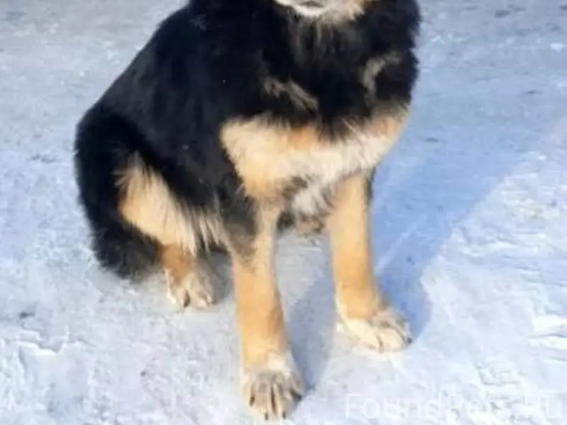 Надежда Лео, [21.02.2026 12...