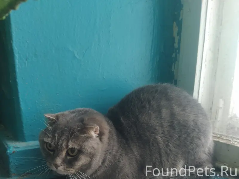 Во втором подъезде Ленина 67 появился...