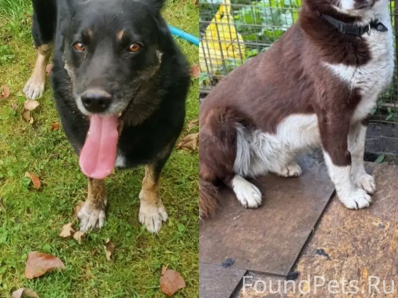 Здравствуйте. Разместите, пожалуйста. Может кто то...