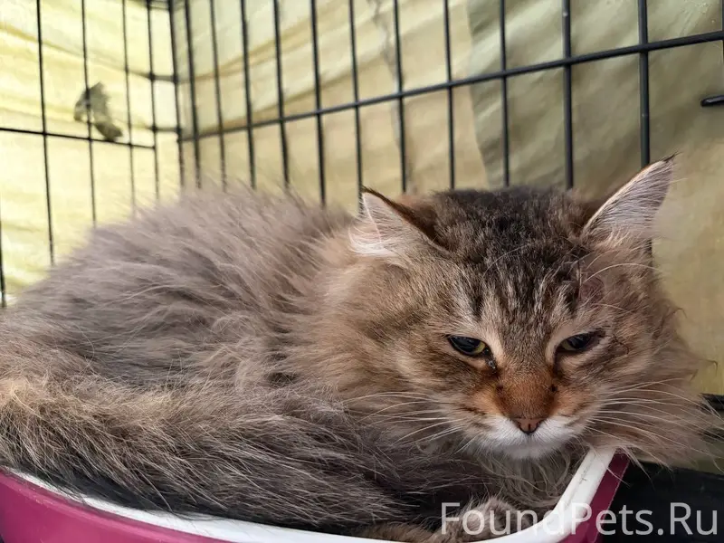 СПб Калининский район 
19.02 в...