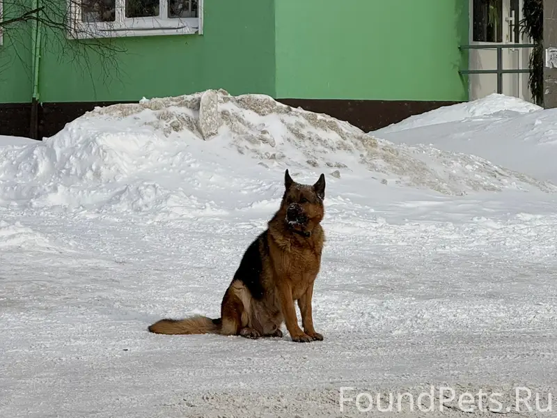 Сегодня, в районе магазина «Для Вас»...