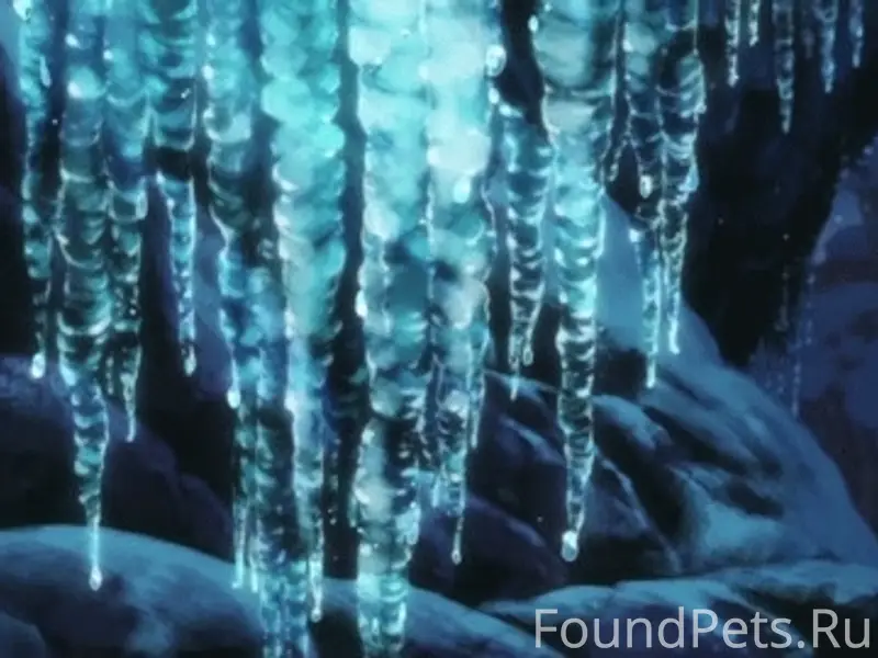 — Мама, мама, пойдём, покажу, что...