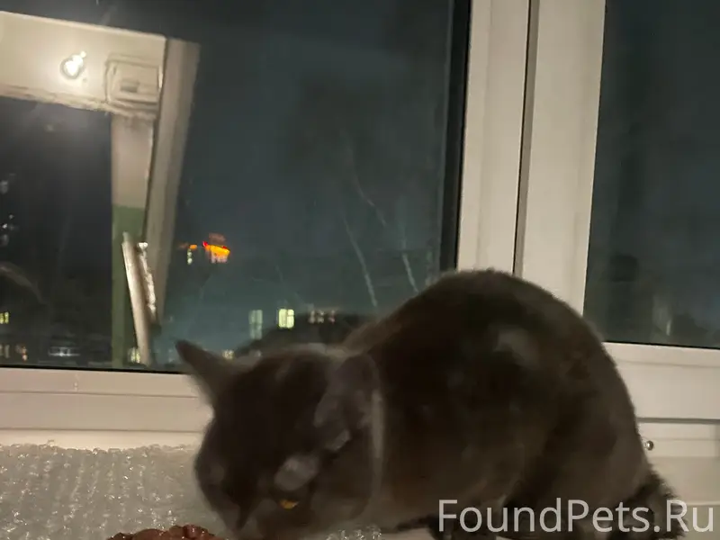 📍пл. Карла Маркса, Ленинский район 
Найдена...