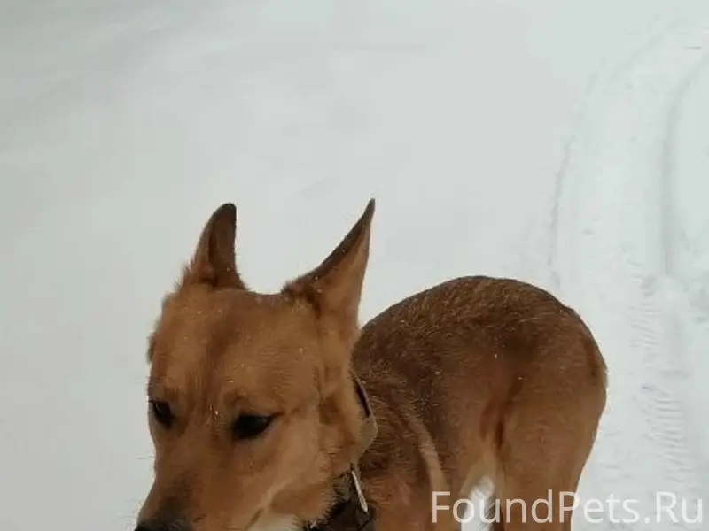 Дорогие друзья!
Я обращаюсь к вам...