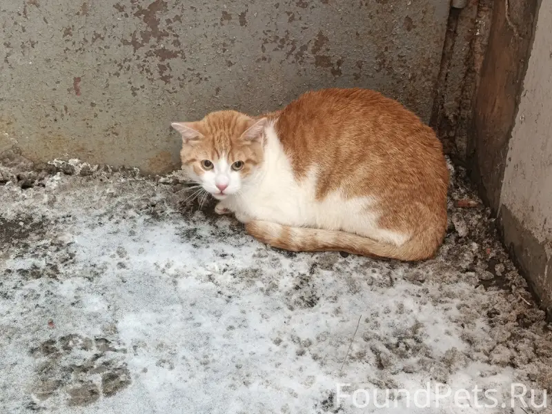 20.02.26 утром во дворах...