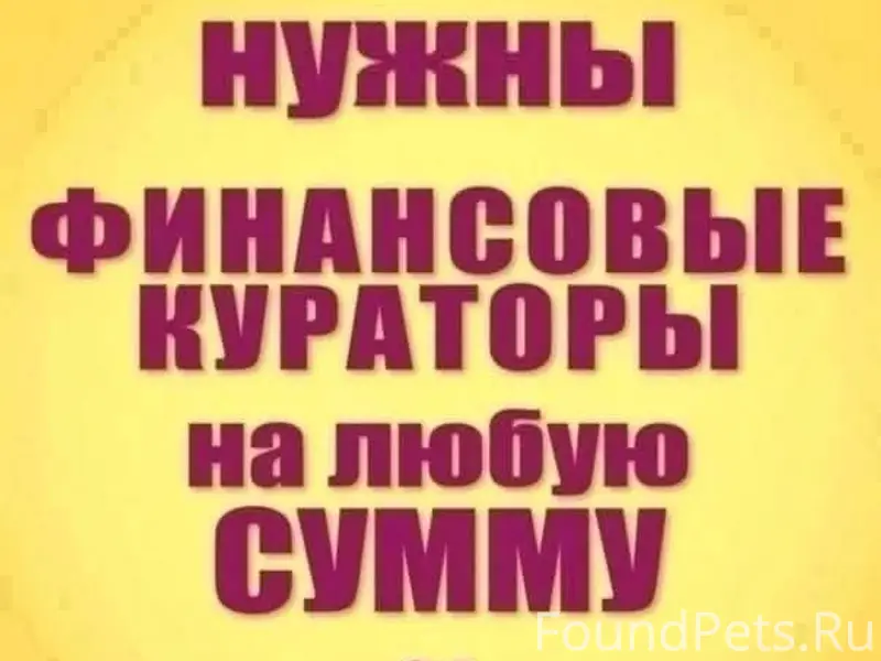 Группа Ярославских волонтеров ИЩЕТ ПОСТОЯННЫХ  ФИНКУРАТОРОВ...