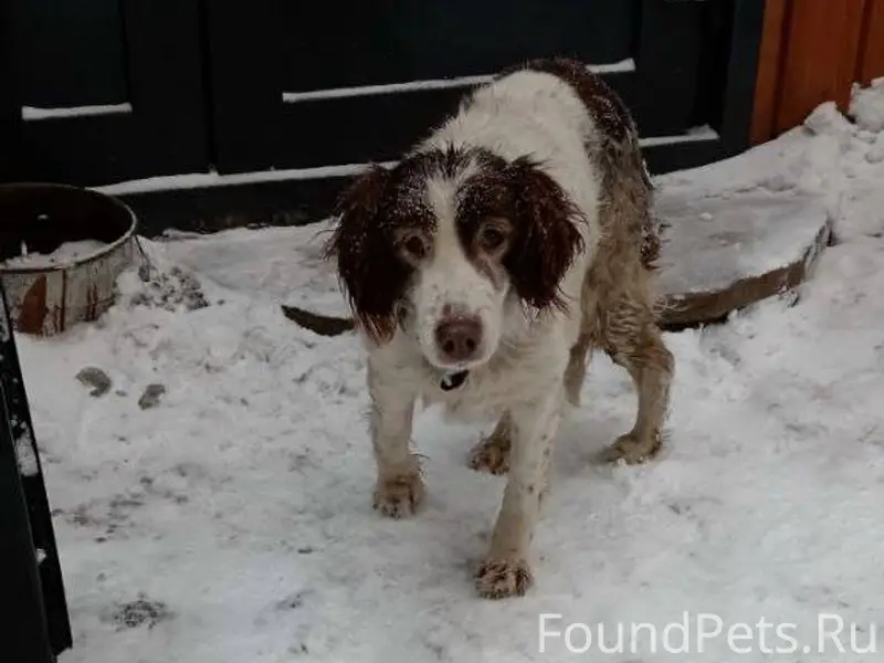 Пожалуйста опубликуйте.
В лесу , за ГГМ...