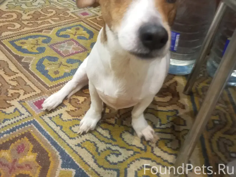 Помогаю информационно !
Максимальный репост! 
Срочно ищем...