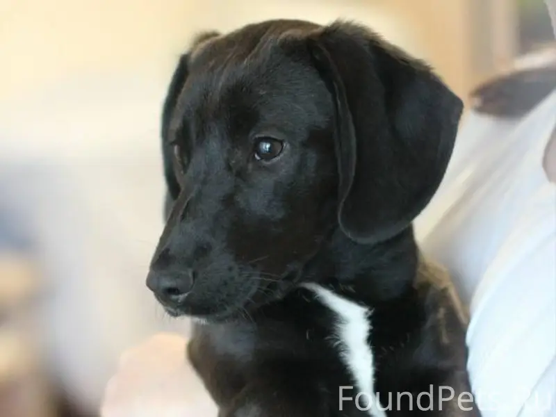 Срочно ‼️ в районе Южного найдена...