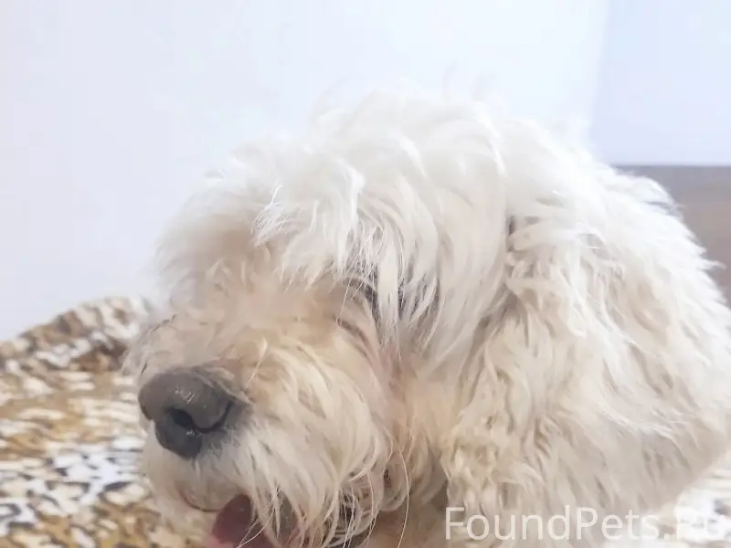 В районе улицы Старых Большевиков 77...