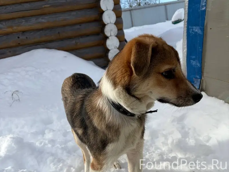 На трассе между В.Волочком и...
