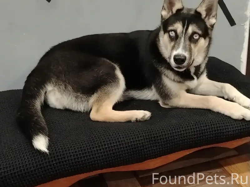 20.02.2026  р-н Вагонка...