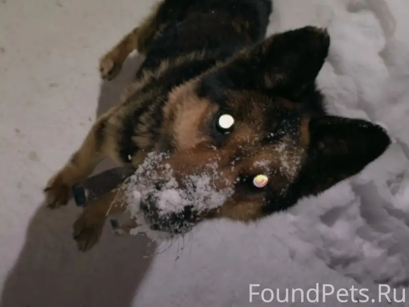 Пожалуйста помогите репостом. А вдруг он...