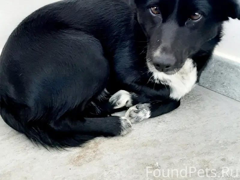 Мой друг, проходя возле ПАТП увидел...