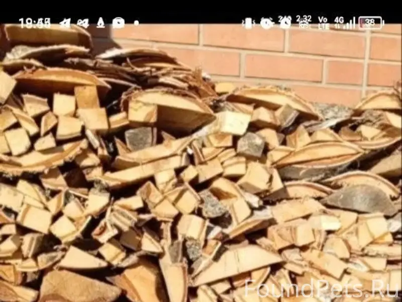 Ночка до сих пор не найдена...