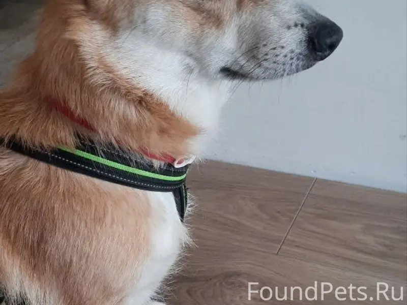 ⚠️СРОЧНО‼️ Чья потеряшка⁉️
20 февраля, утром...