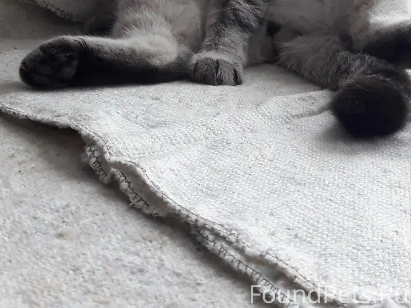 🚨🚨🚨

В районе 12 комплекта Нов...