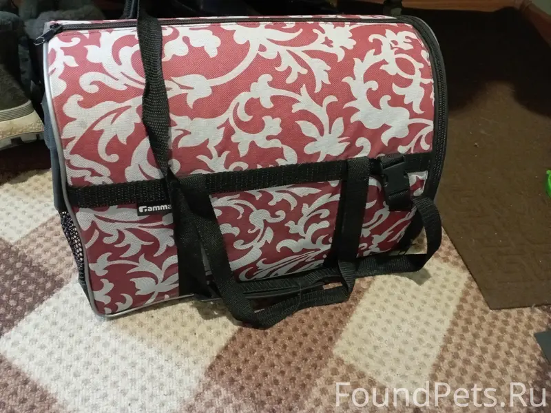 Найден котик, контактные данные в описании