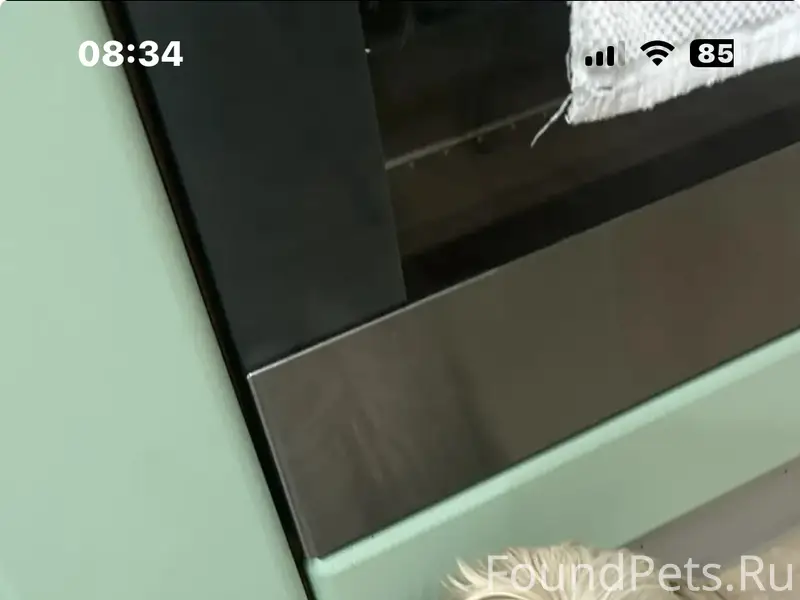 Найденна собака, район Б. Садовая-Соколова