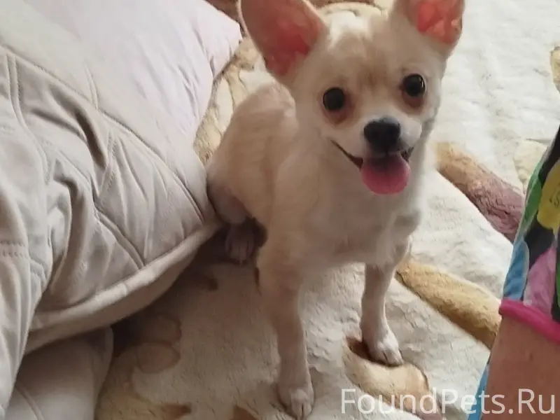 Найден мальчик, Балакирево