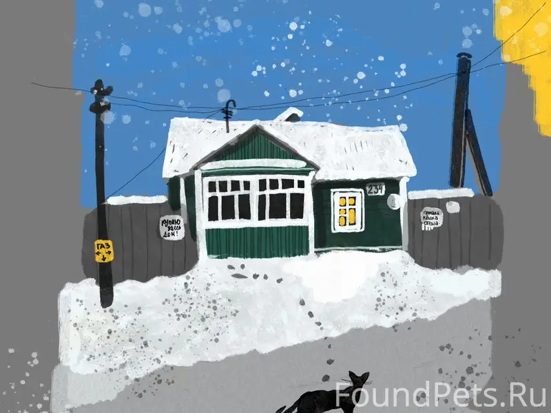 Весна совсем скоро!
«Пропала кошка …»...