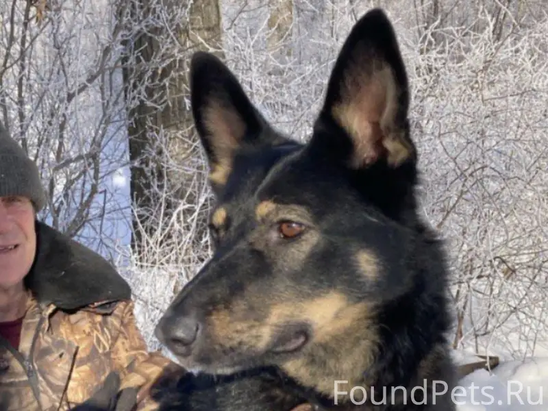 Пропал Мальчик, д. Акса-куль, Уруссу