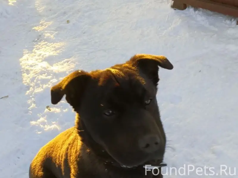 Пропал Граф, ул. Ф. Энгельса