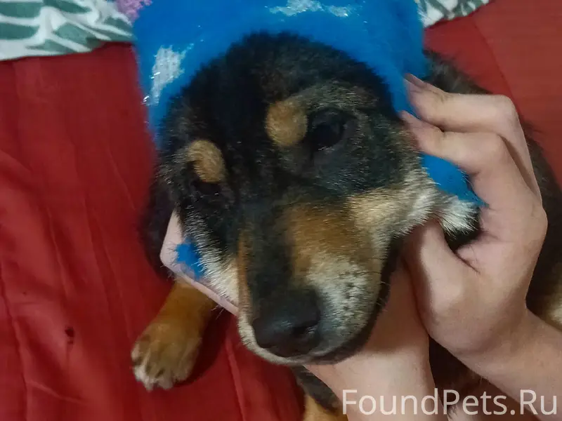 Пропала девочка Николь, район Черёмушки