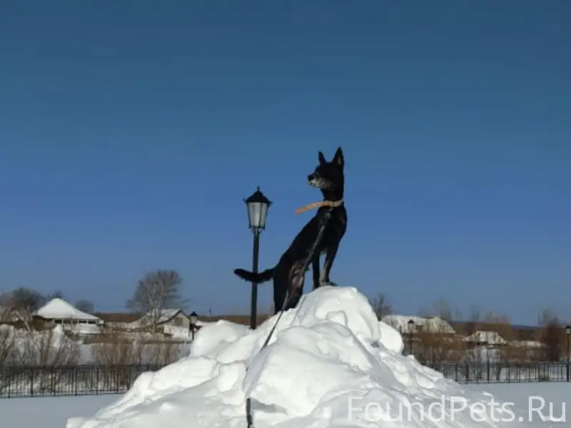 Пропал пес Ганс, Третий мкрн