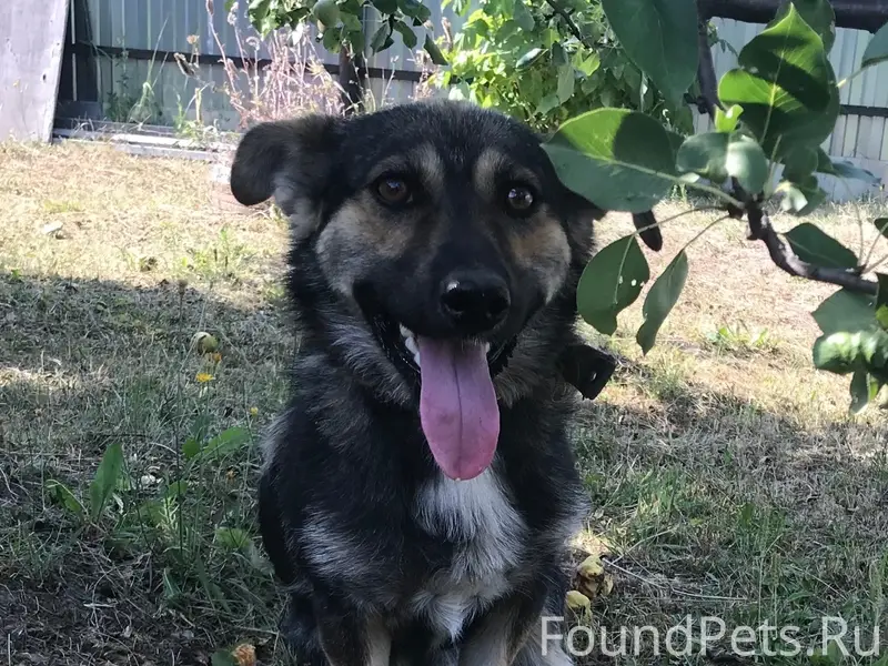 Пропал Яша, с. Большие Поляны