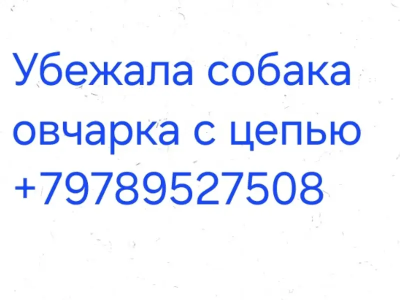 Пропала овчарка, девочка