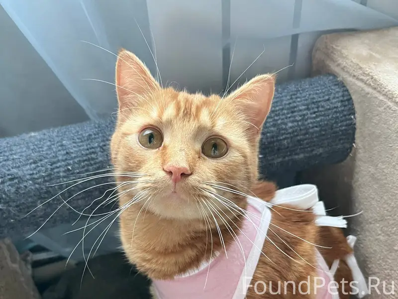 В ночь с 6 на 7...