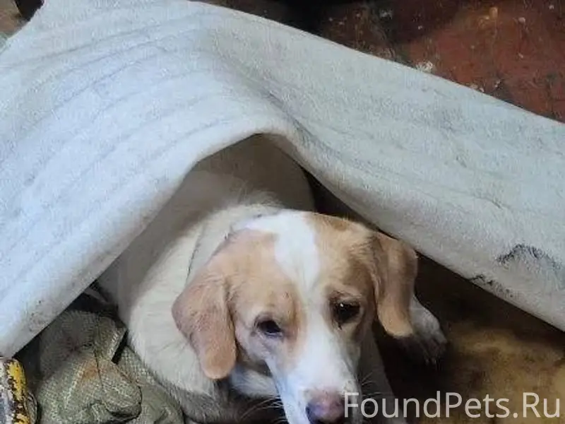 30 янв. На жд путях была...