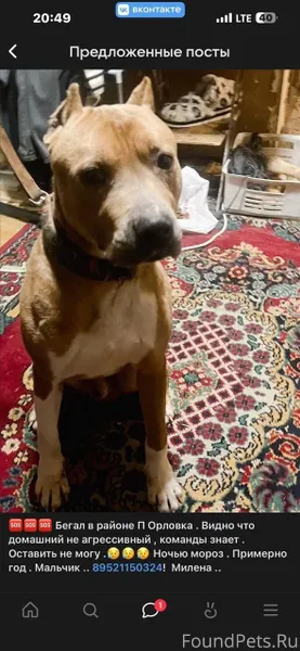 🆘Я ИНФОРМАТОР 🆘 Диана! Добрый ...