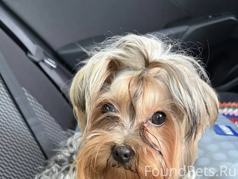 В микрорайоне ,, Солнечный 2 ф...