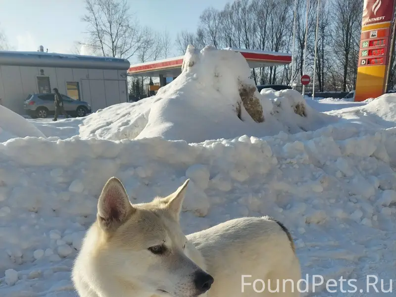 ❗️❗️❗️❗️❗️❗️❗️❗️❗️❗️❗️❗️❗️❗️❗️...