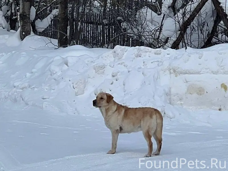 Добрый день, соседи. 1.02 вече...