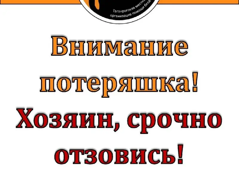 Найдена собака! Лабрадор. 8928...