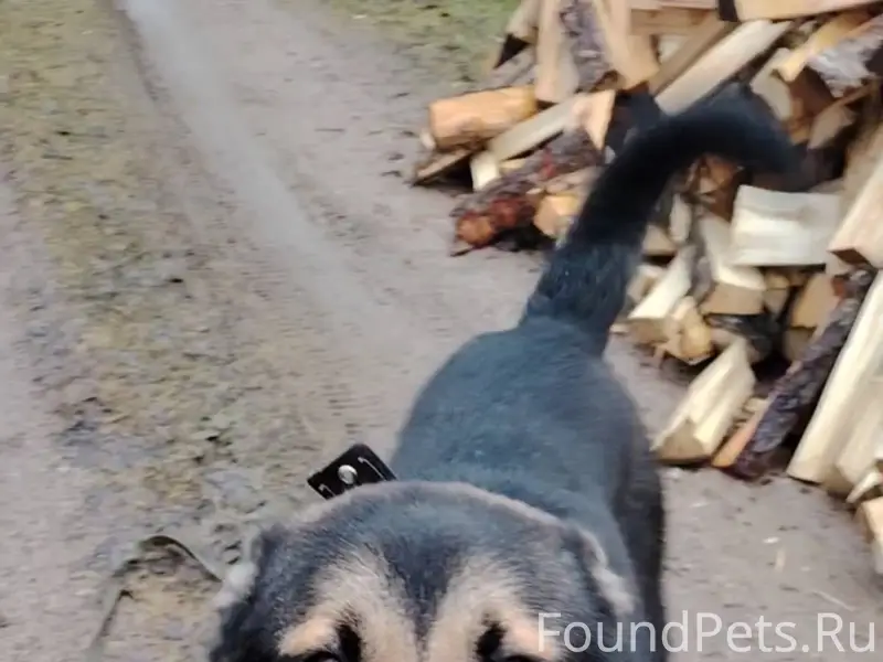 01.02.26 сбежала от дома...